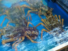 -万宝海鲜舫(劳动公园店)