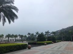 -厦门国家会计学院