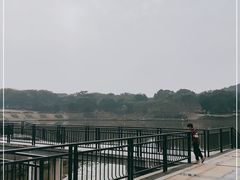 -东莞植物园