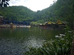 -西双版纳原始森林公园