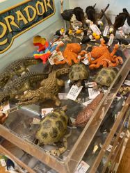 -kidsland(领展购物广场·京通店)