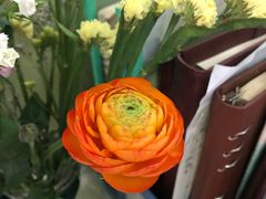 -CGV影城(新都心IMAX店)