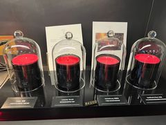 -drivepro(三里屯店)