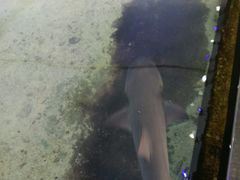 -鸿通城购物中心