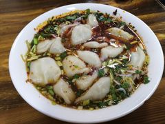 牛肉萝卜饺子-尤素福东举院饺子馆