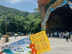 -西双版纳原始森林公园
