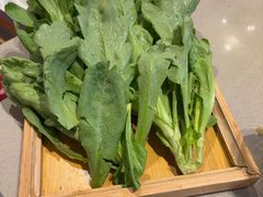 -蝎王府羊蝎子(虎坊桥总店)