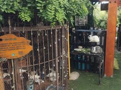 -西西里轰趴日租聚会别墅·团建拓展