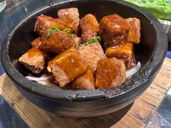 -甘家界牌柠檬鸭(青山店)