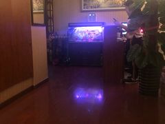 -智慧盲人按摩艾灸-颈肩腰膝疼痛调理(浦东店)