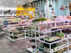 -KKV(深圳宏发大仟里店)