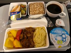 -新加坡航空公司(ION)