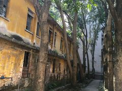 -广东紫坭糖厂(桥头路)