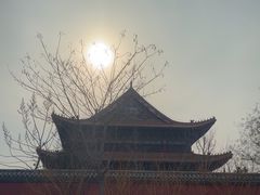 -药王庙(安国市)