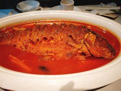 -阿五黄河大鲤鱼(纬三路店)