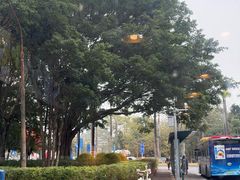 -新城餐厅(吉祥北街店)