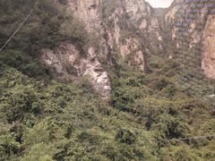 -神农山景区