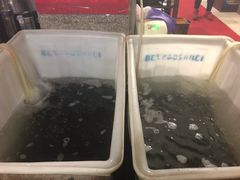 -金海椒罐罐鲢鱼(东方桂苑店)