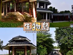 -南沙蒲洲花园