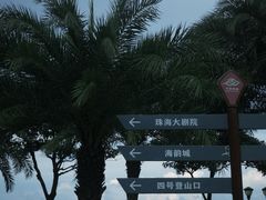 -野狸岛