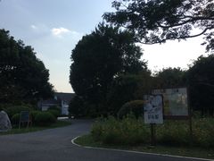 -望海·帆船主题咖啡厅•品茗下午茶(石湖景区店)