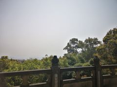 -南山植物园