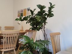 -吉林大学(前卫南校区)