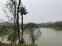 -枫香湖儿童公园