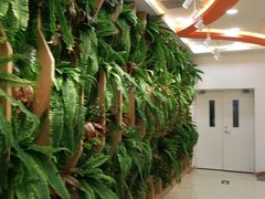 -CoCo都可(北京西站北广场店)