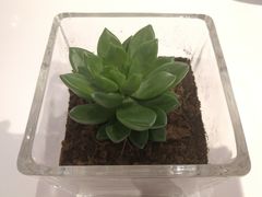 -苏宁易购(Suning Pro南京山西路店)