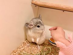 -龙猫仔乐园(惠福东路店)