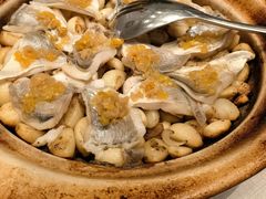 -新吉士·上海菜(浦东LCM置汇旭辉店)