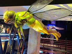 -现代汽车文化中心 Hyundai Motorstudio Beijing