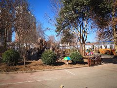 -花婆婆华德福幼儿园