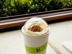 -白茶原·一片叶子