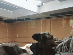 -宁波野生动物园