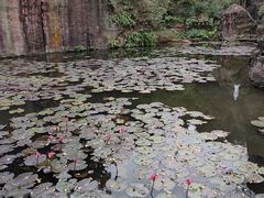 -广州莲花山旅游区