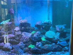 -碧中海汤泉汗蒸酒店