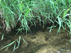 -碓臼峪自然风景区