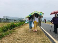 -光明小镇欢乐田园