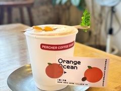-青莯_Percher Coffee Shop(皮市街店)
