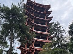 -缙云山景区