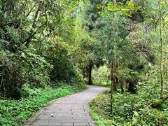 -西岭雪山大飞水景区