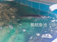 -正能量脆肉鲩火锅