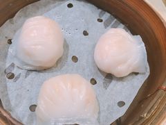 -添好运点心专门店(北角店)