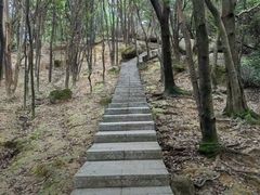 -火炉山森林公园