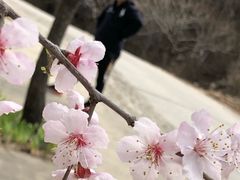 -云峰山自然风景区
