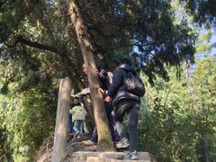 -金堂县云顶石城风景区