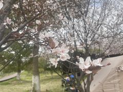 -南湖湿地公园