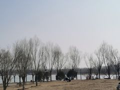 -东郊湿地公园